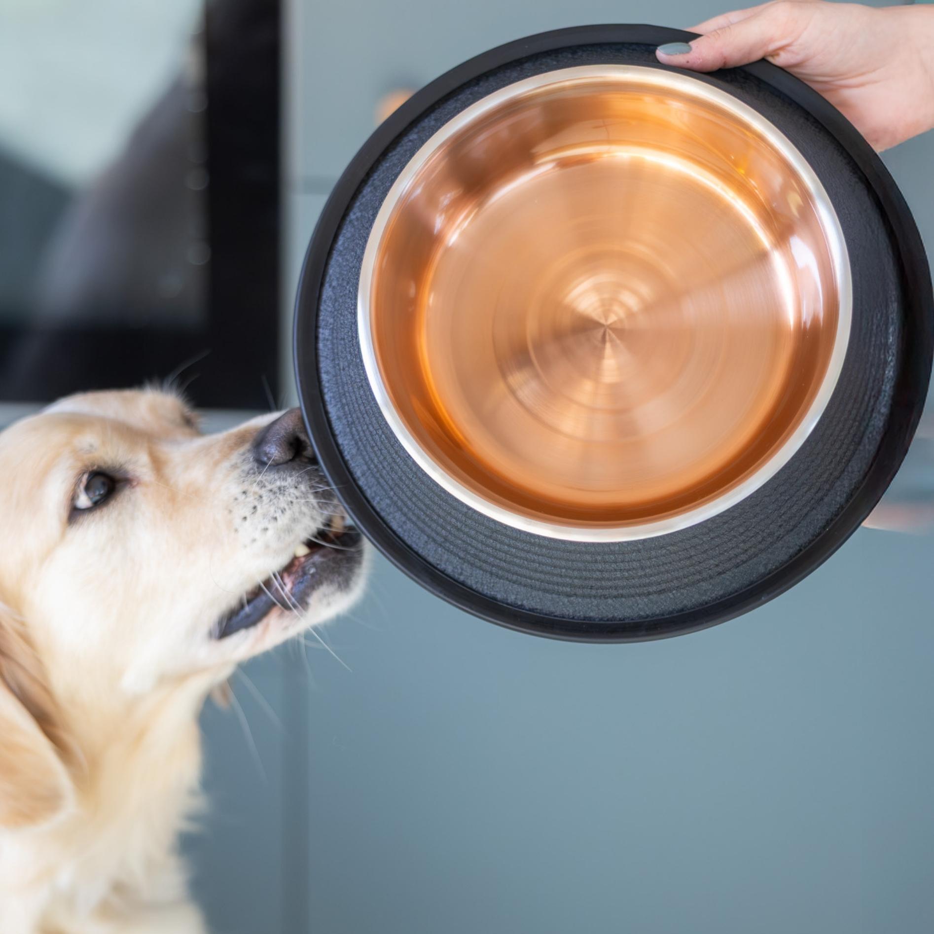 Voer- en drinkbakken